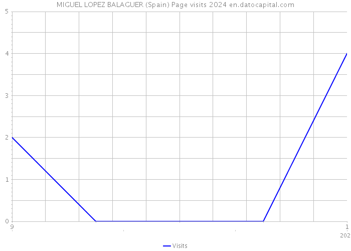 MIGUEL LOPEZ BALAGUER (Spain) Page visits 2024 