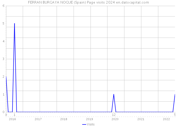 FERRAN BURGAYA NOGUE (Spain) Page visits 2024 