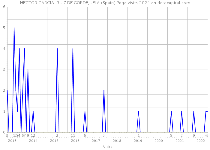 HECTOR GARCIA-RUIZ DE GORDEJUELA (Spain) Page visits 2024 