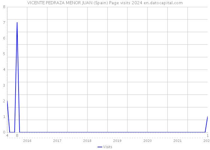 VICENTE PEDRAZA MENOR JUAN (Spain) Page visits 2024 