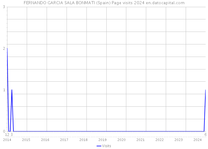 FERNANDO GARCIA SALA BONMATI (Spain) Page visits 2024 