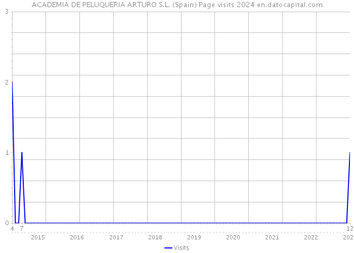 ACADEMIA DE PELUQUERIA ARTURO S.L. (Spain) Page visits 2024 