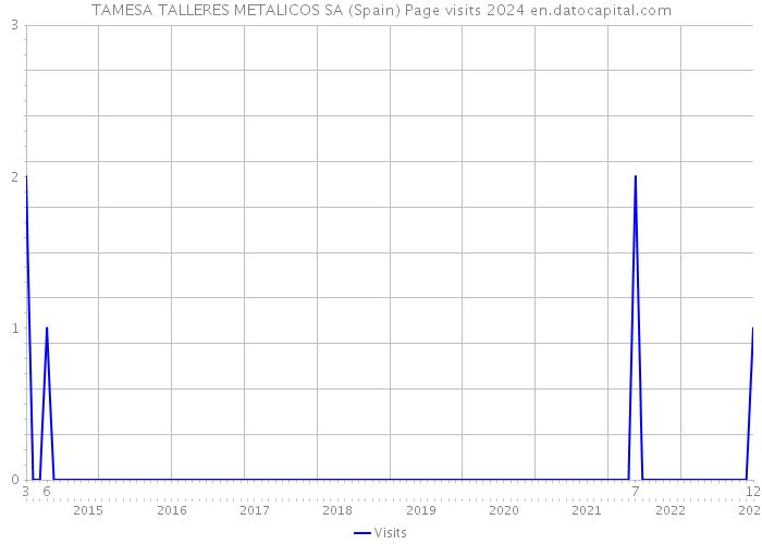 TAMESA TALLERES METALICOS SA (Spain) Page visits 2024 