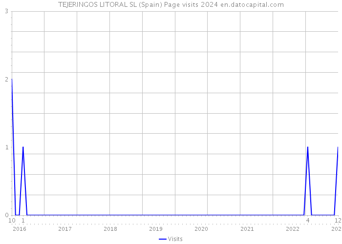 TEJERINGOS LITORAL SL (Spain) Page visits 2024 