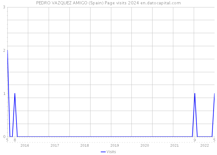 PEDRO VAZQUEZ AMIGO (Spain) Page visits 2024 