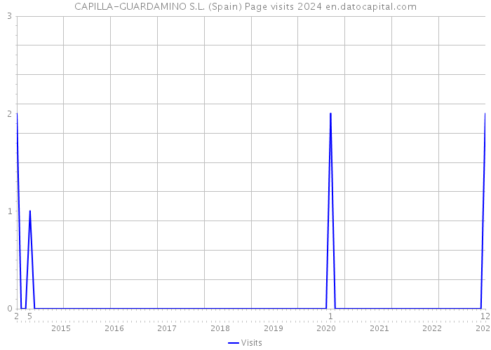 CAPILLA-GUARDAMINO S.L. (Spain) Page visits 2024 