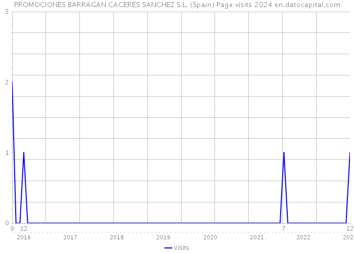 PROMOCIONES BARRAGAN CACERES SANCHEZ S.L. (Spain) Page visits 2024 