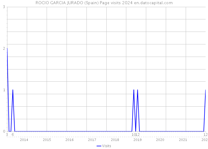 ROCIO GARCIA JURADO (Spain) Page visits 2024 