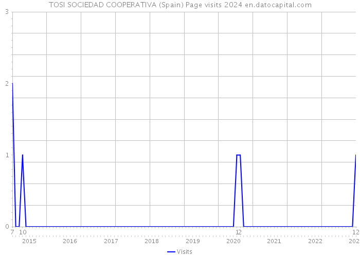 TOSI SOCIEDAD COOPERATIVA (Spain) Page visits 2024 