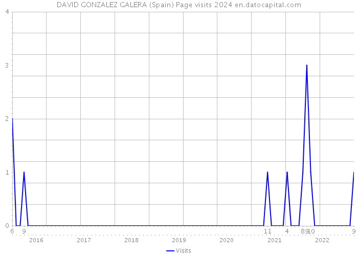 DAVID GONZALEZ GALERA (Spain) Page visits 2024 