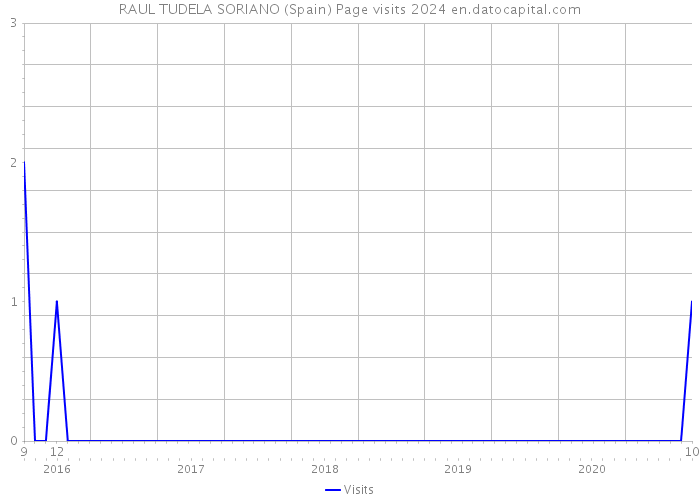 RAUL TUDELA SORIANO (Spain) Page visits 2024 