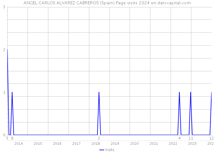 ANGEL CARLOS ALVAREZ CABREROS (Spain) Page visits 2024 