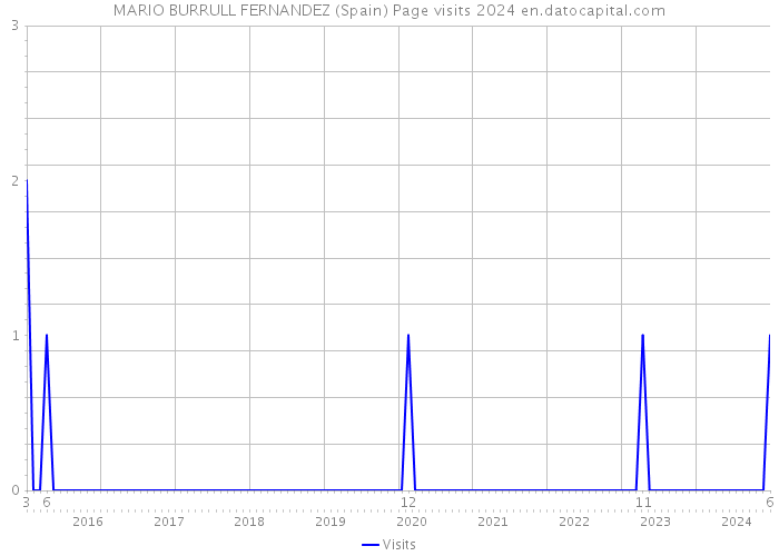 MARIO BURRULL FERNANDEZ (Spain) Page visits 2024 