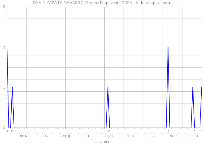DAVID ZAPATA NAVARRO (Spain) Page visits 2024 