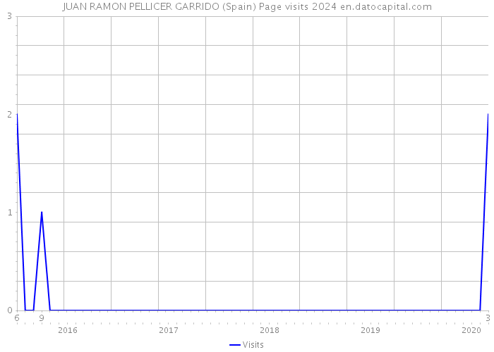 JUAN RAMON PELLICER GARRIDO (Spain) Page visits 2024 