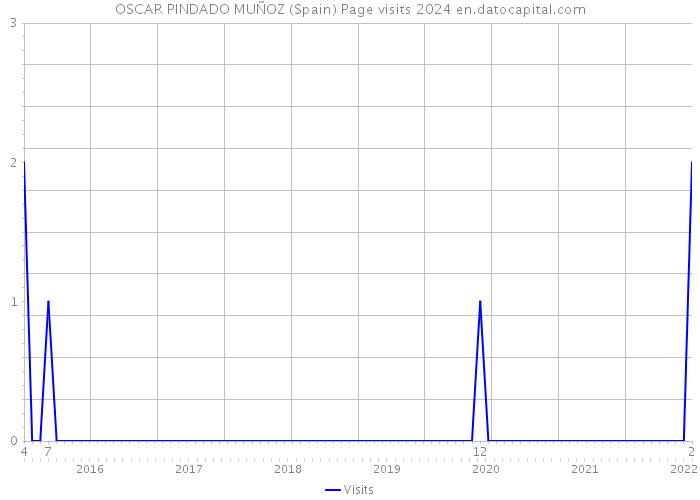 OSCAR PINDADO MUÑOZ (Spain) Page visits 2024 