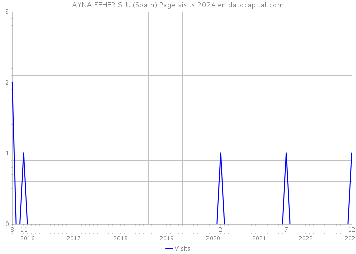 AYNA FEHER SLU (Spain) Page visits 2024 