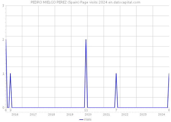 PEDRO MIELGO PEREZ (Spain) Page visits 2024 