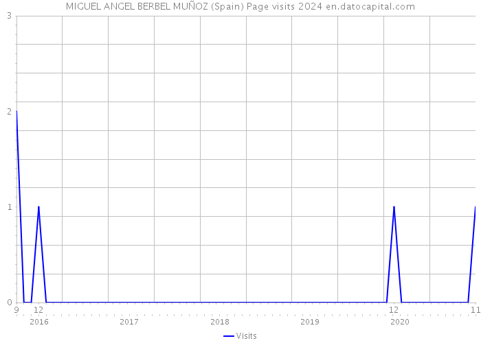 MIGUEL ANGEL BERBEL MUÑOZ (Spain) Page visits 2024 