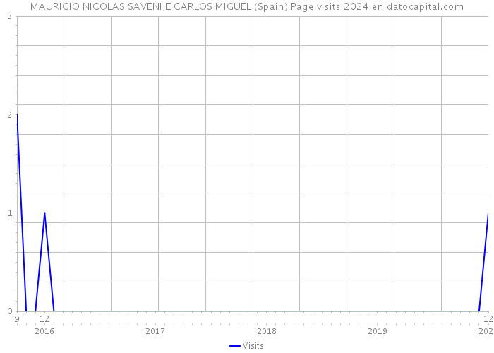 MAURICIO NICOLAS SAVENIJE CARLOS MIGUEL (Spain) Page visits 2024 