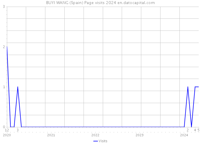 BUYI WANG (Spain) Page visits 2024 