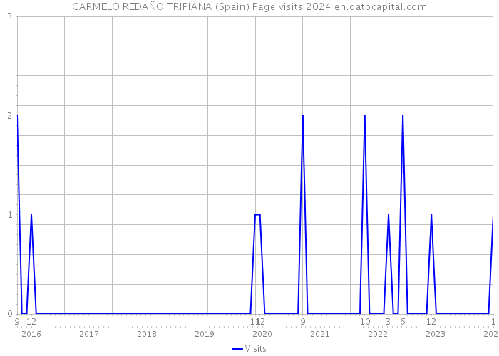 CARMELO REDAÑO TRIPIANA (Spain) Page visits 2024 