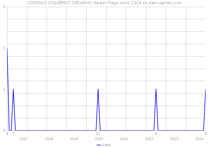 GONZALO IZQUIERDO CIRUJANO (Spain) Page visits 2024 