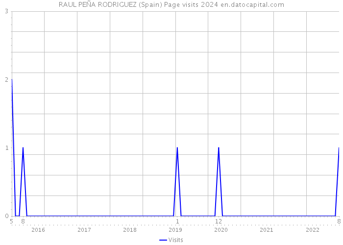 RAUL PEÑA RODRIGUEZ (Spain) Page visits 2024 