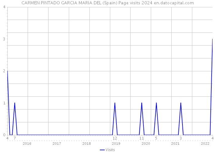 CARMEN PINTADO GARCIA MARIA DEL (Spain) Page visits 2024 