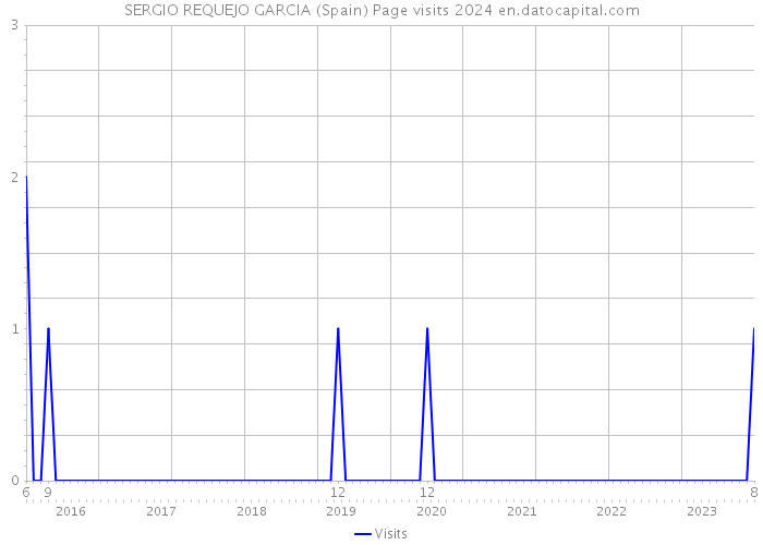 SERGIO REQUEJO GARCIA (Spain) Page visits 2024 