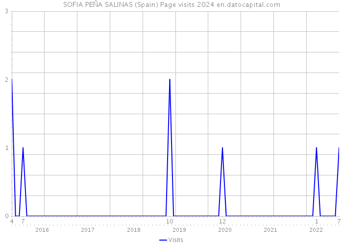 SOFIA PEÑA SALINAS (Spain) Page visits 2024 
