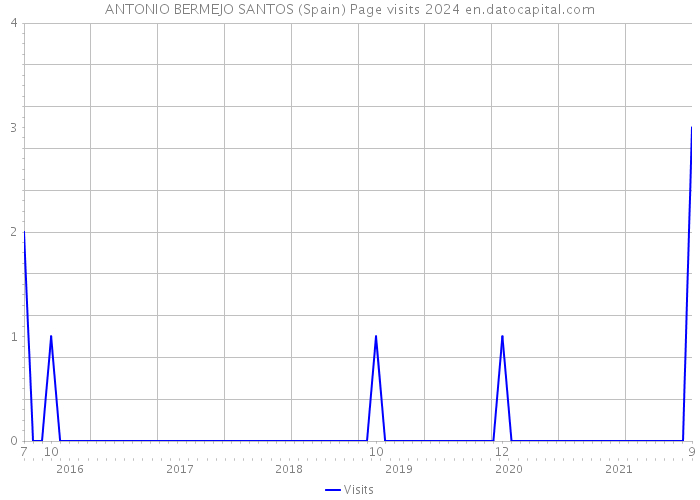 ANTONIO BERMEJO SANTOS (Spain) Page visits 2024 