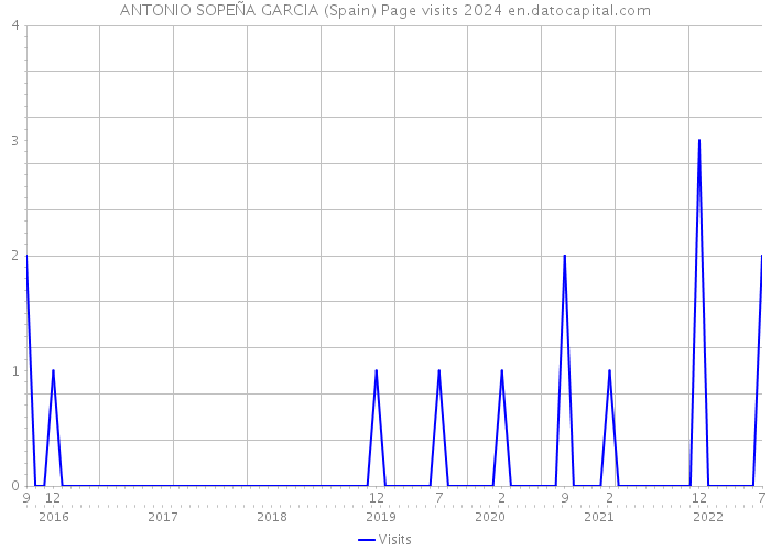 ANTONIO SOPEÑA GARCIA (Spain) Page visits 2024 