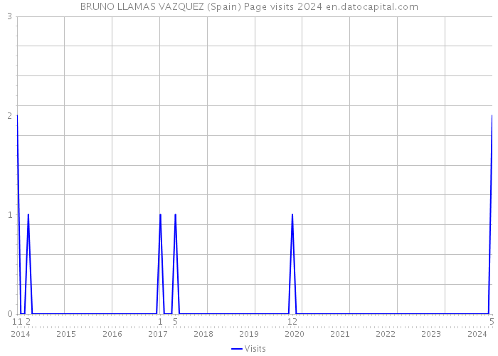BRUNO LLAMAS VAZQUEZ (Spain) Page visits 2024 