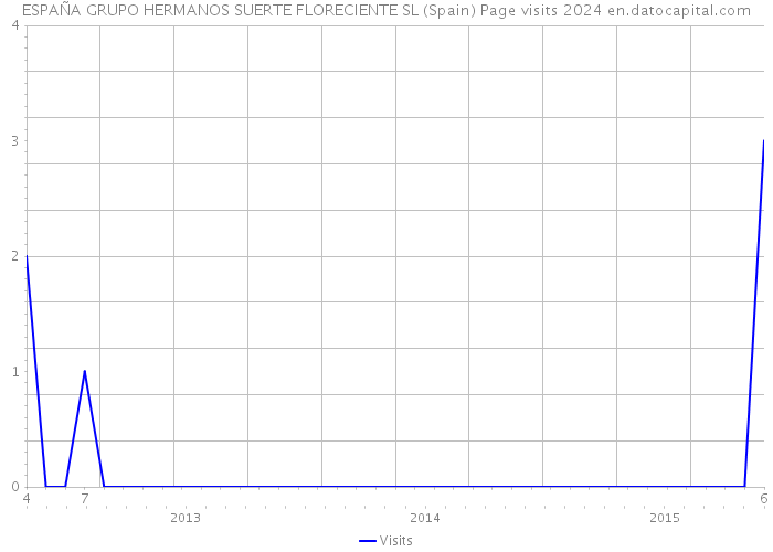 ESPAÑA GRUPO HERMANOS SUERTE FLORECIENTE SL (Spain) Page visits 2024 