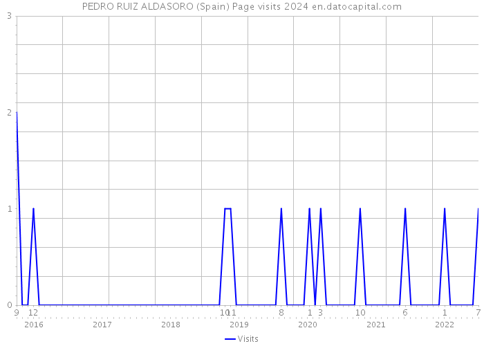 PEDRO RUIZ ALDASORO (Spain) Page visits 2024 