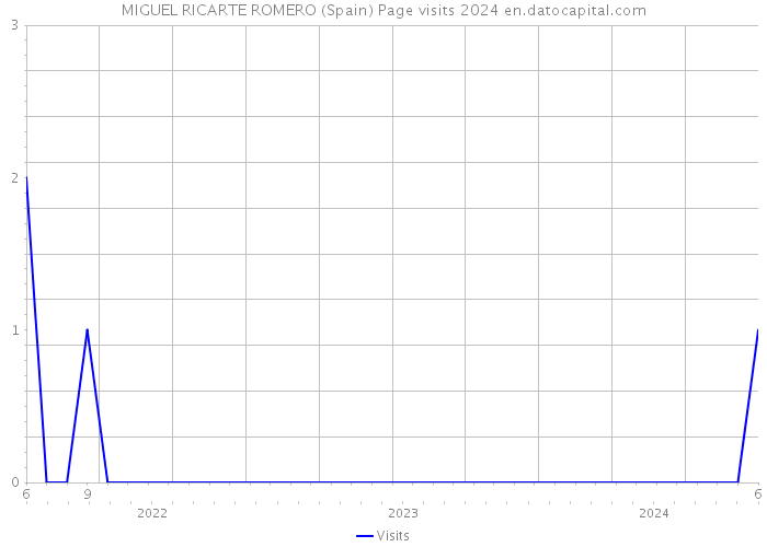 MIGUEL RICARTE ROMERO (Spain) Page visits 2024 