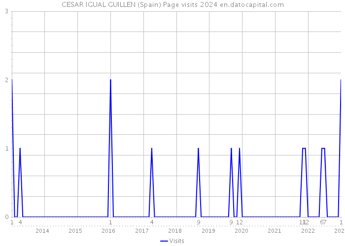 CESAR IGUAL GUILLEN (Spain) Page visits 2024 