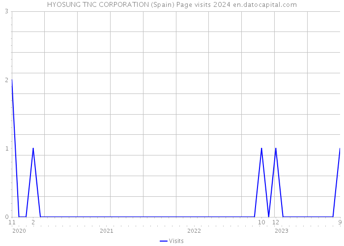 HYOSUNG TNC CORPORATION (Spain) Page visits 2024 