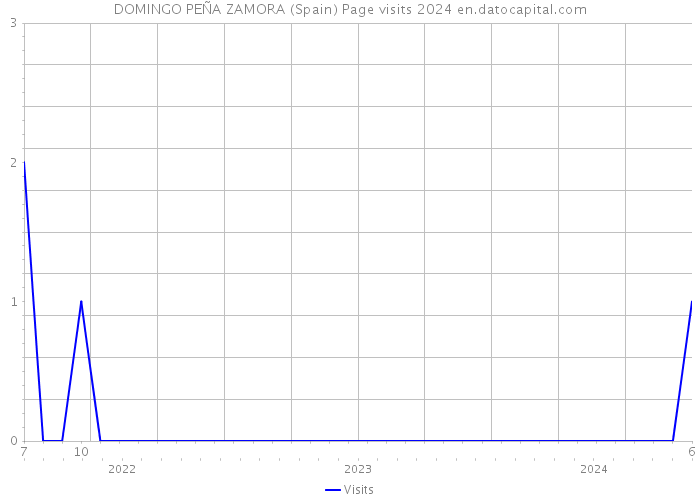 DOMINGO PEÑA ZAMORA (Spain) Page visits 2024 