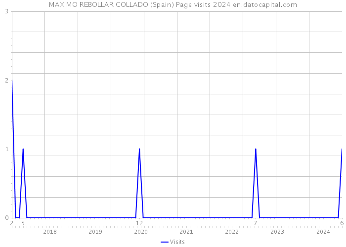 MAXIMO REBOLLAR COLLADO (Spain) Page visits 2024 