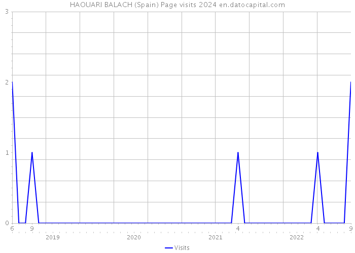 HAOUARI BALACH (Spain) Page visits 2024 