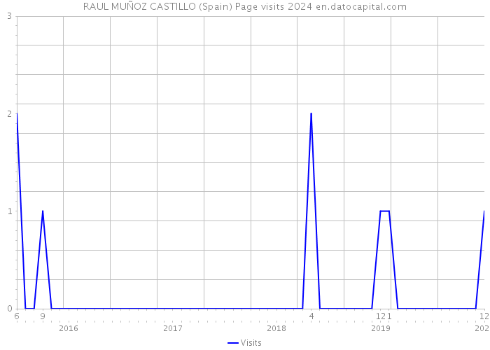 RAUL MUÑOZ CASTILLO (Spain) Page visits 2024 