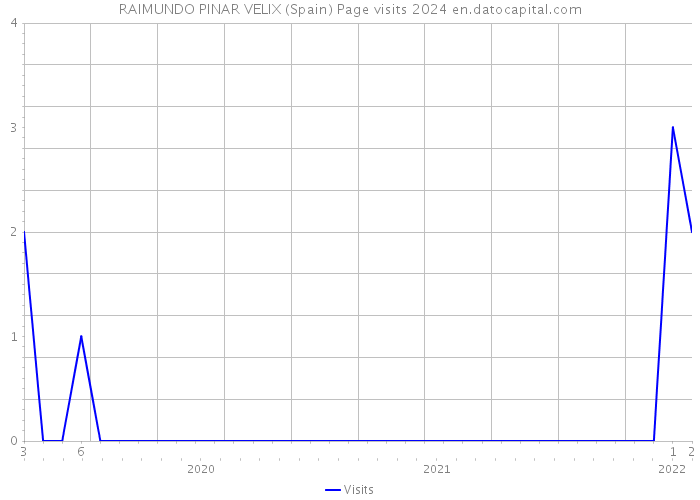 RAIMUNDO PINAR VELIX (Spain) Page visits 2024 
