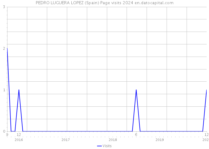 PEDRO LUGUERA LOPEZ (Spain) Page visits 2024 
