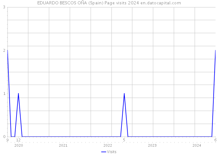 EDUARDO BESCOS OÑA (Spain) Page visits 2024 