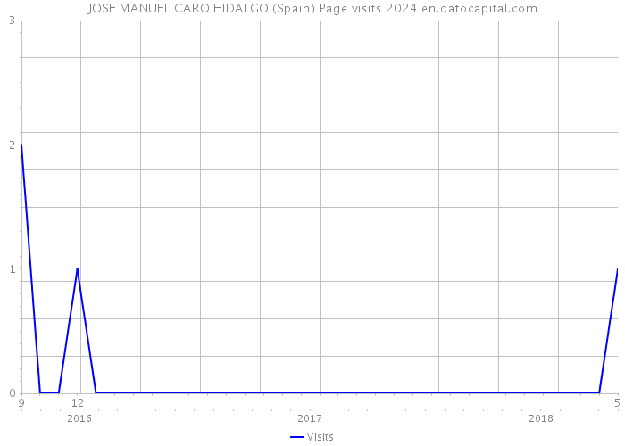 JOSE MANUEL CARO HIDALGO (Spain) Page visits 2024 