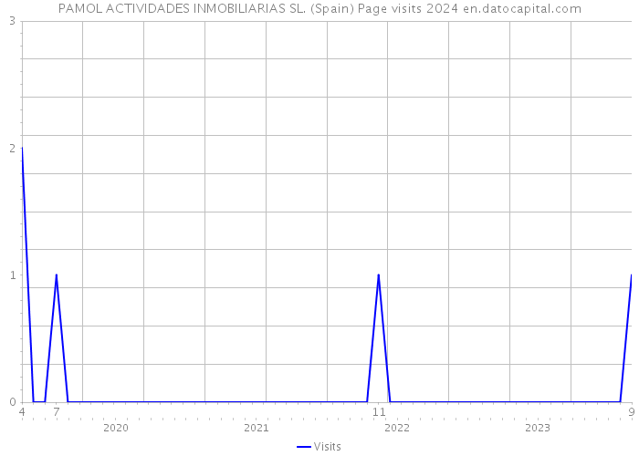 PAMOL ACTIVIDADES INMOBILIARIAS SL. (Spain) Page visits 2024 