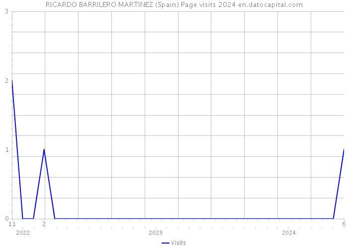 RICARDO BARRILERO MARTINEZ (Spain) Page visits 2024 