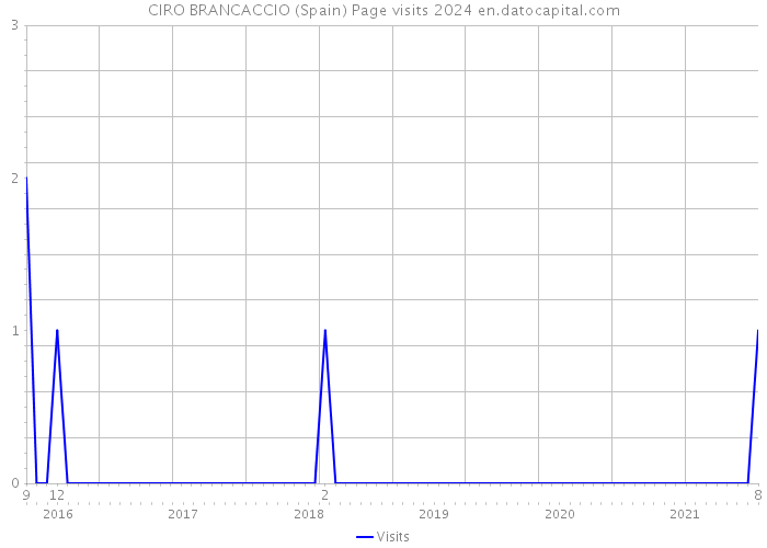CIRO BRANCACCIO (Spain) Page visits 2024 